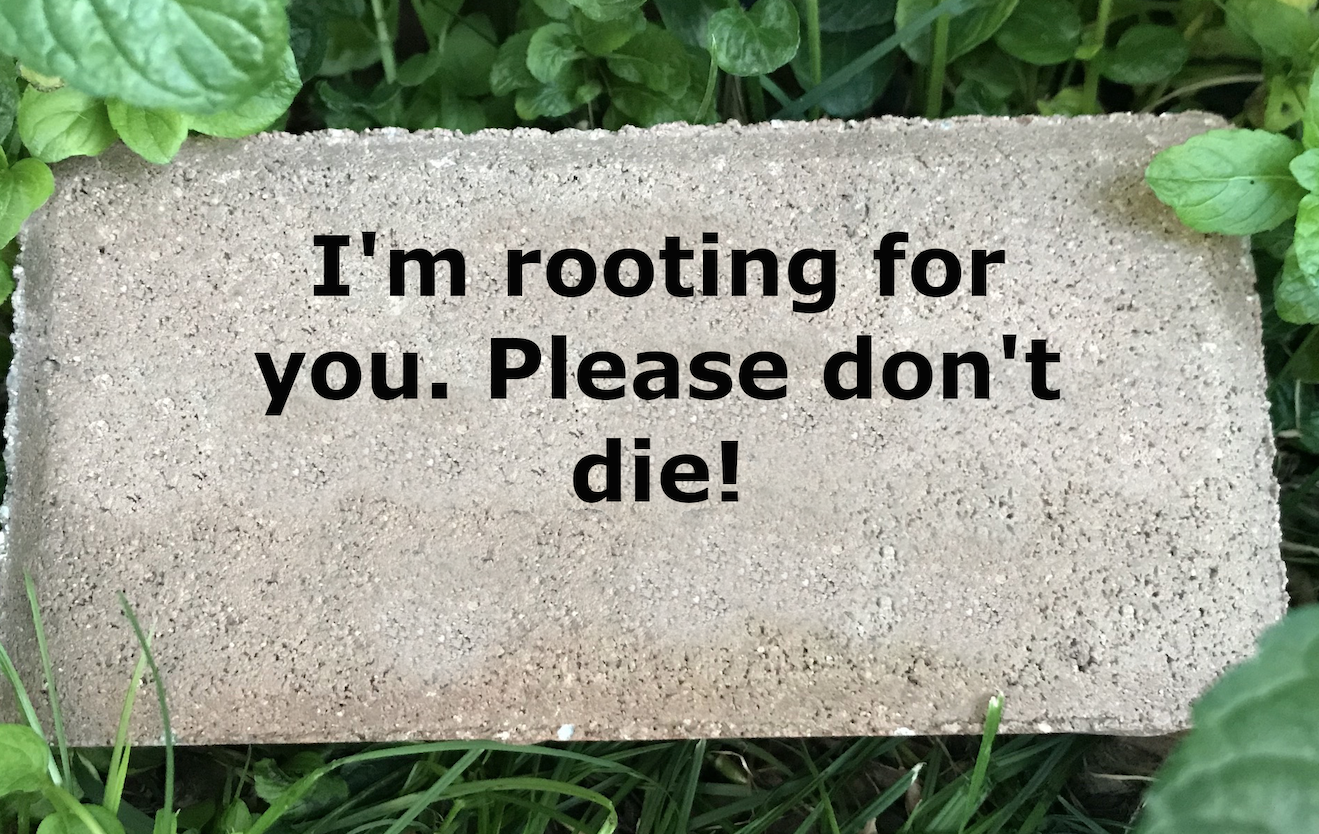 rooting-for-you-vvl-garden-club